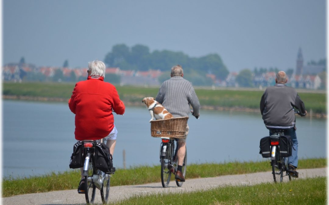 Retirement Advice Outlook Next Five Years
