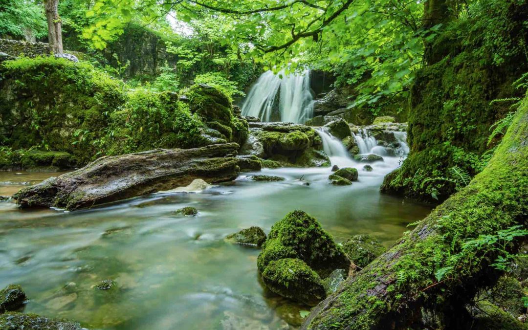 NextWealth Newsletter: Shape of Flows and Save the Date